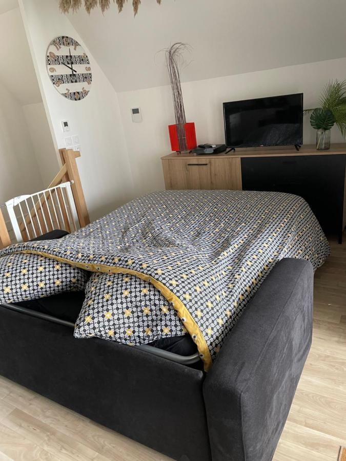 Bel Appartement « The Lion King » Proche Disney Montévrain Exterior foto
